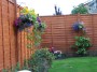 garden (1) * 2032 x 1524 * (913KB)